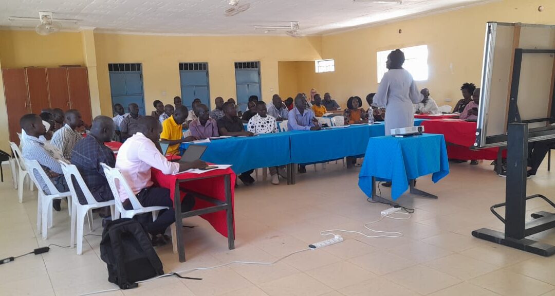TDT Strategic Interventions and Outputs